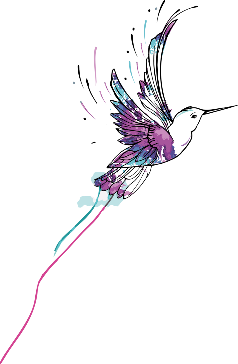 Illustration d’un colibri, emblème du cabinet